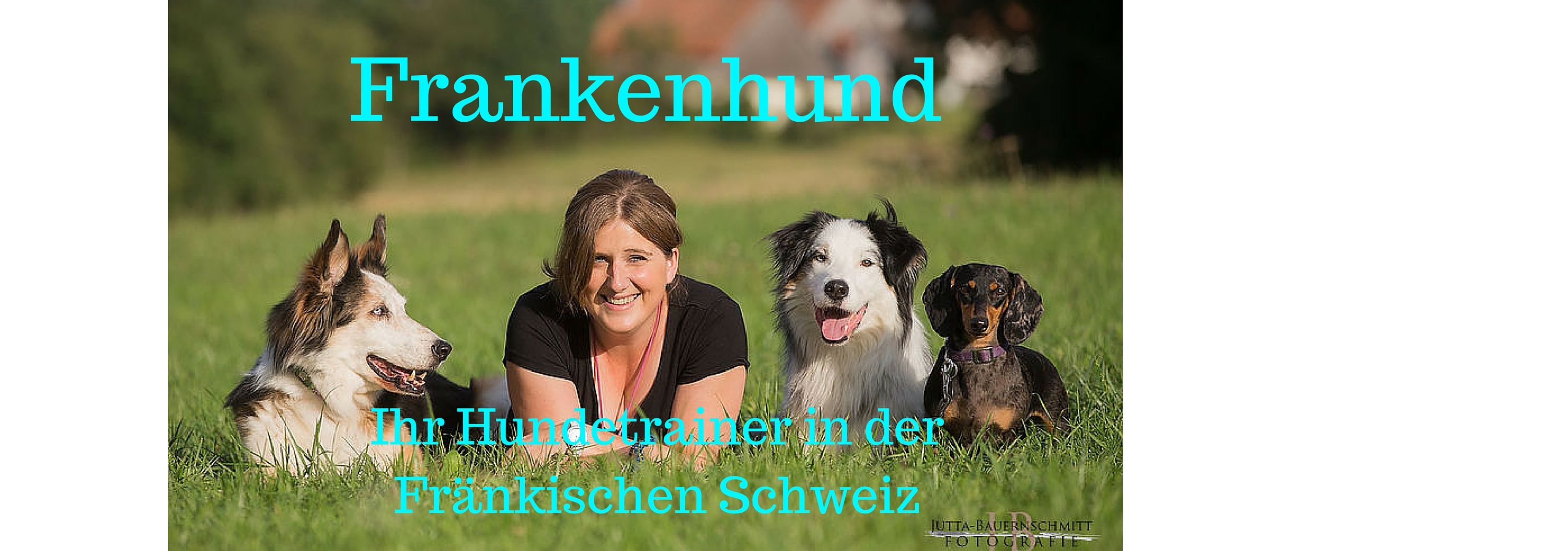 Dieses Bild zeigt das Logo des Unternehmens Frankenhund